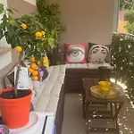 Design Eclectic Rhapsody