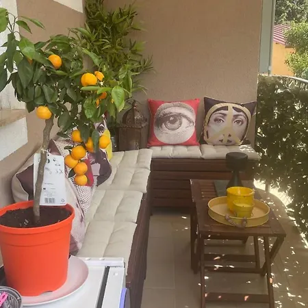 Design Eclectic Rhapsody